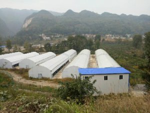 贵州大棚建设