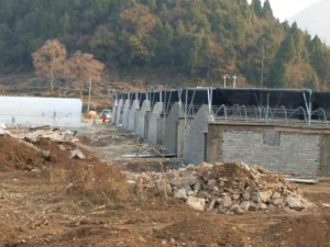 贵州大棚建设
