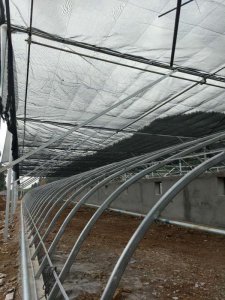 贵州大棚建设