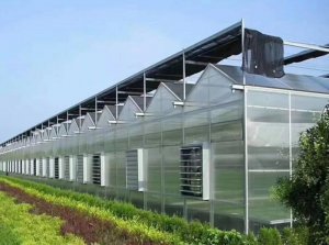 贵州塑料大棚