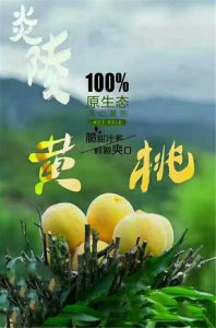 黄桃