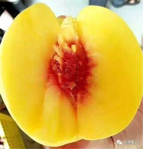 黄桃