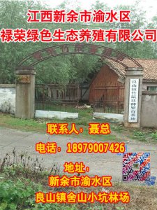 新余市渝水区禄荣绿色生态养殖有限公司