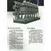 进口冷凝式锅炉